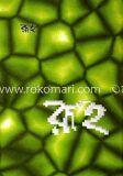 রূহ
