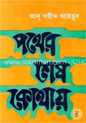 পথের শেষ কোথায়