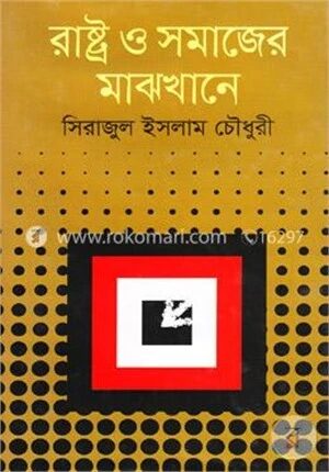 রাষ্ট্র ও সমাজের মাঝখানে
