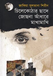চিলেকোঠার ছাদে জোছনা আঁধারে মাখামাখি