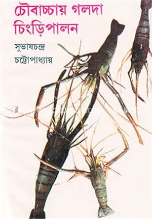 চৌবাচ্চায় গলদা চিংড়িপালন