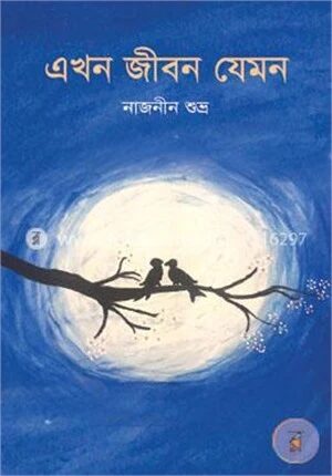 এখন জীবন যেমন