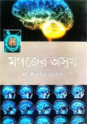 মগজের অসুখ