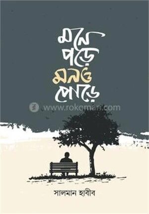 মনে পড়ে মনও পোড়ে