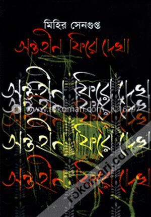 অন্তহীন ফিরে দেখা
