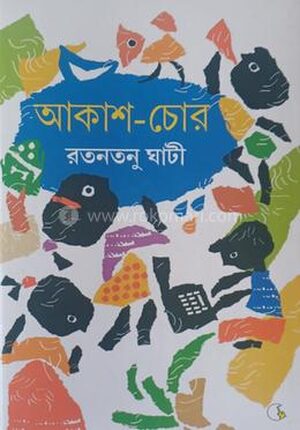 আকাশ চোর